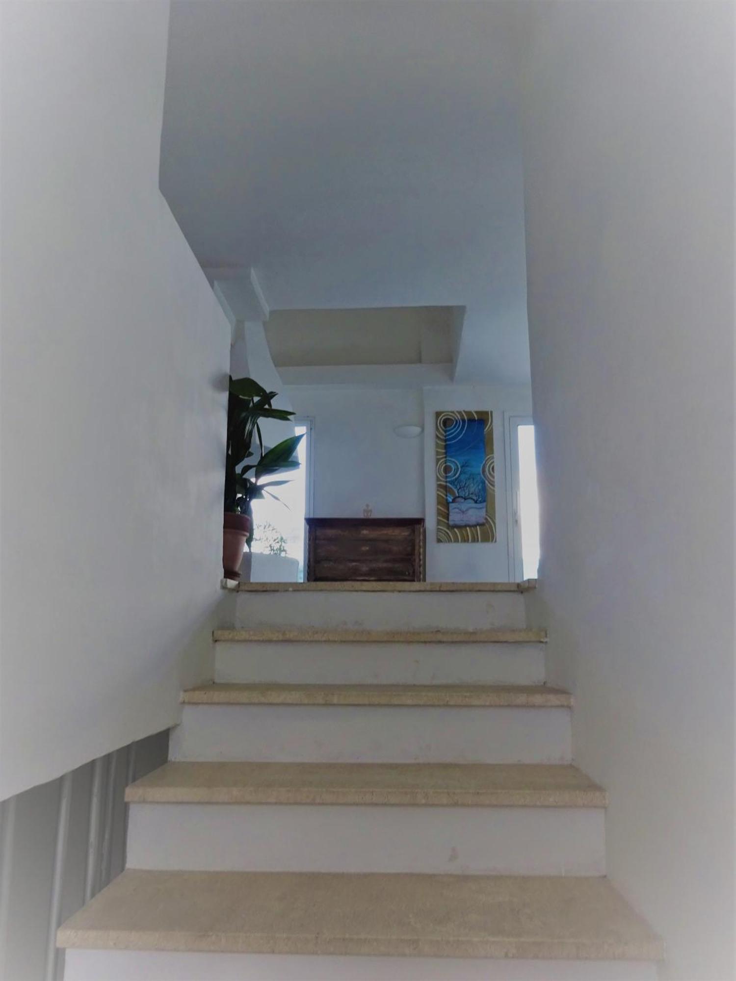 White - San Pantaleo Apartment ภายนอก รูปภาพ
